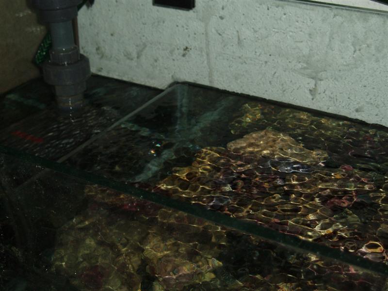 PC120009 (Medium).JPG