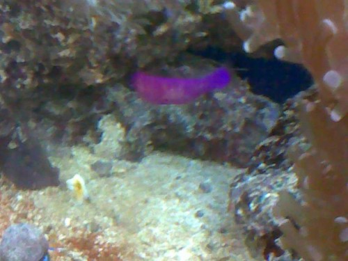 01102011102.jpg