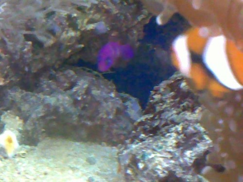 01102011104.jpg