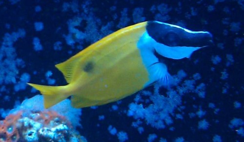 IMAG0026.jpg
