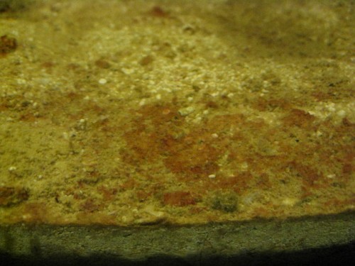refugium (2).JPG