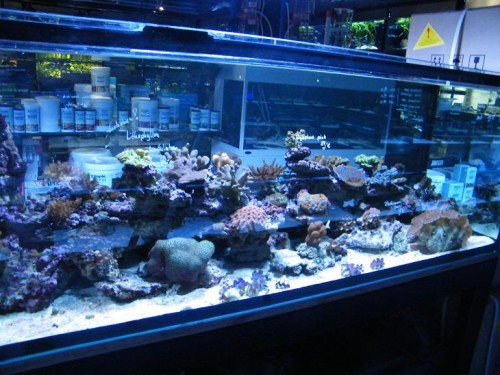 DSCF2566-6.JPG