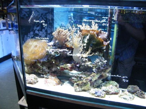 DSCF2563-7.JPG