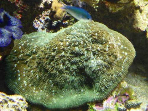 Akvarium-4.10.2011-016.jpg