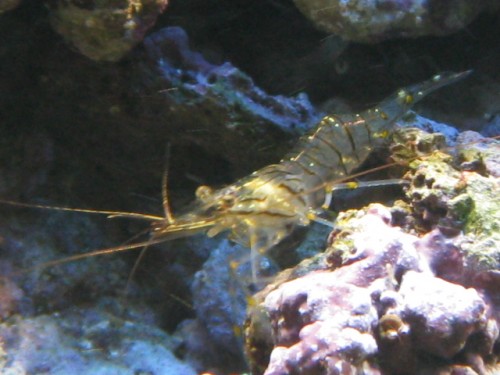 IMG_1768.JPG
