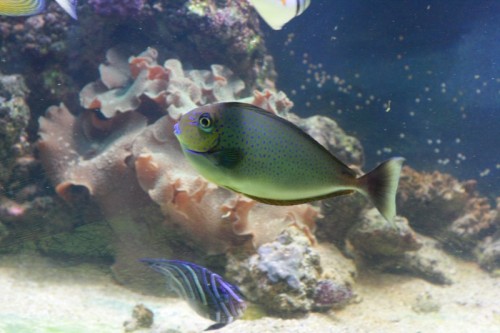 IMG_5981.jpg