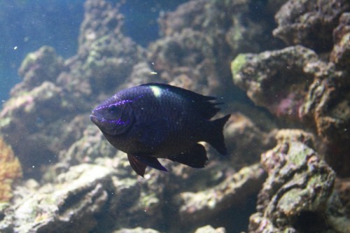 IMG_5986.jpg