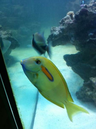 IMG_0411.JPG