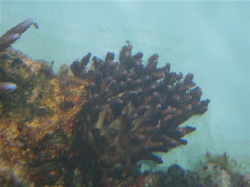 PC170019 (Medium).JPG