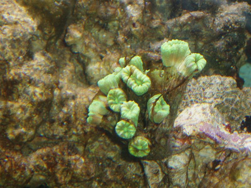 PC170018 (Medium).JPG