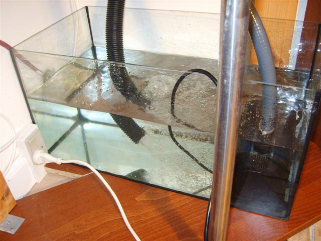 test1 (Small).JPG