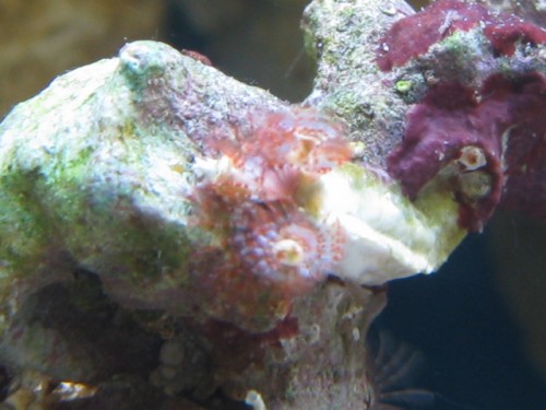 IMG_1874.JPG