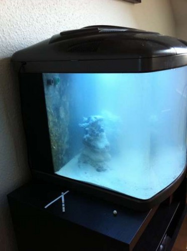 IMG_0329.jpg (17.96 KiB) Vist 2360 gange Det er lige kommet sand i, så vandet er ikke helt klart endnu.