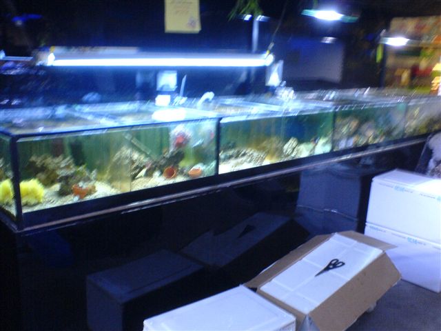 DSC00030.JPG