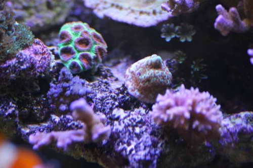 IMG_0670.JPG