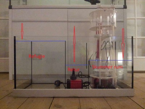 sump v2.jpg