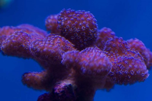 DSC_1789.jpg