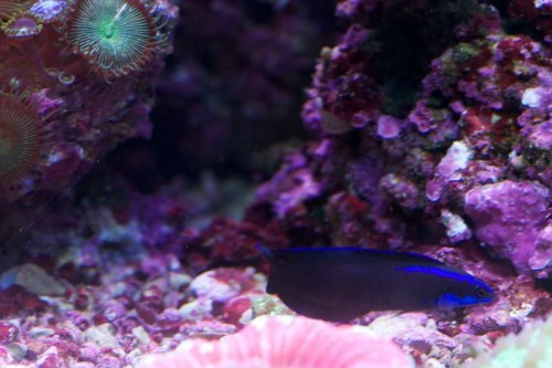 DSC_1881.jpg