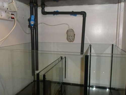PA220013.JPG