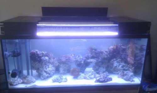 IMAG0407.jpg