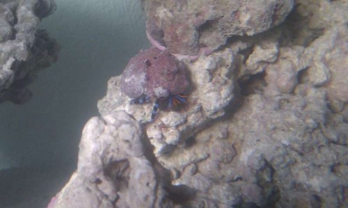 IMAG0389.jpg