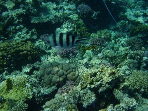 PA280010.jpg