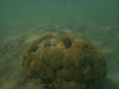 PA270001.jpg