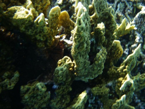 PA250044.jpg