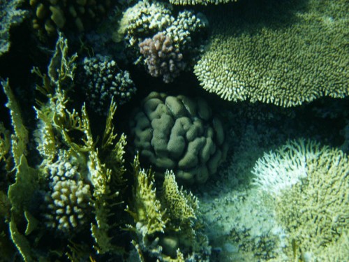 PA250026.jpg