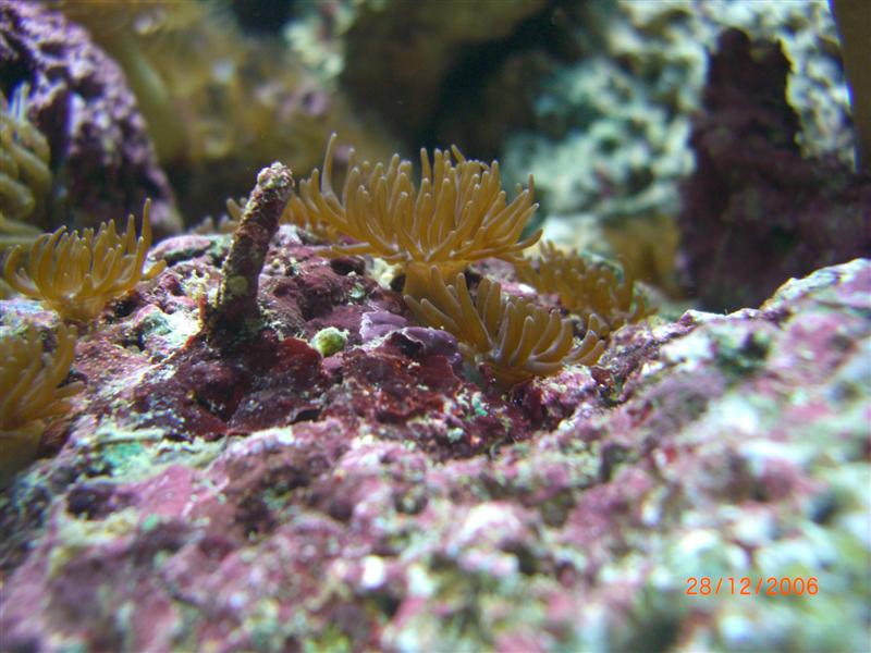 CIMG0787 (Medium).JPG