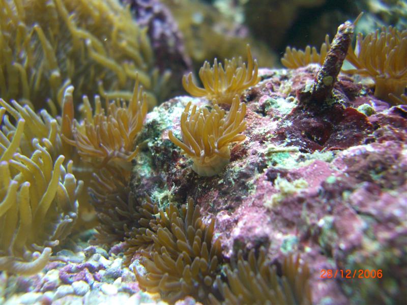 CIMG0786 (Medium).JPG