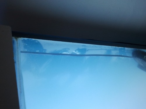 2011-11-10 11.54.15.jpg