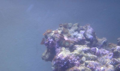 IMAG0470.jpg