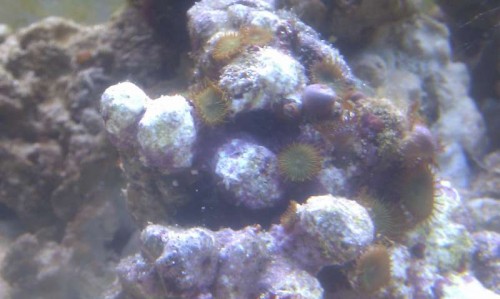 IMAG0456.jpg