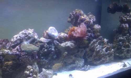 IMAG0483.jpg