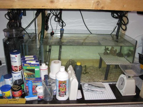 Akvarie1 014.JPG