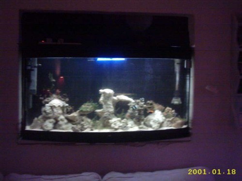 IMG_0032.JPG