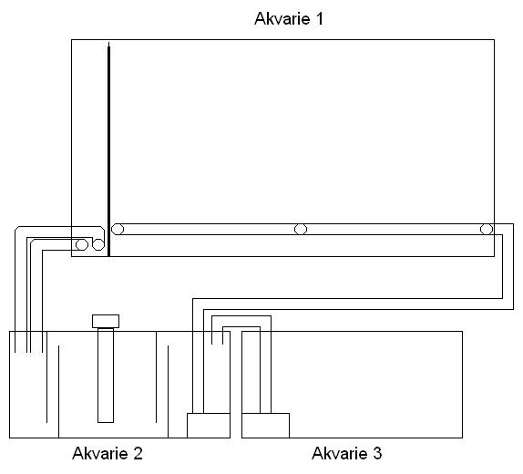 Akvarie opstilling.JPG