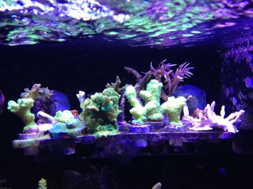 IMG_0789.JPG