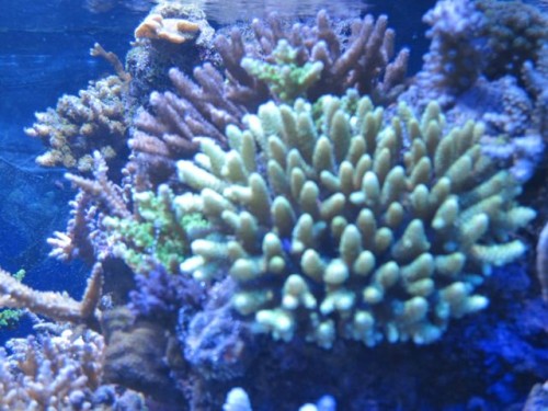 IMG_3035.jpg