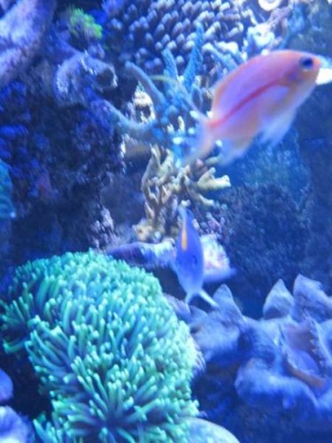 IMG_3041.jpg