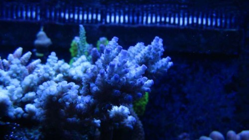 IMG_6403.JPG