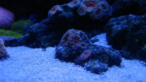 IMG_6407.JPG