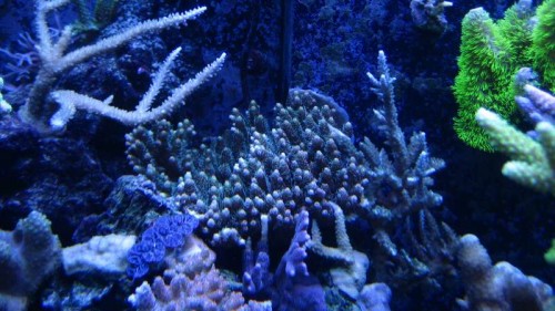 IMG_6392.JPG