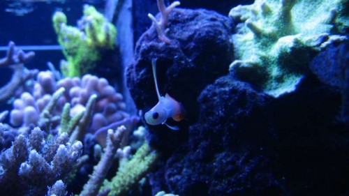 IMG_6387.JPG
