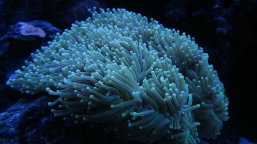 IMG_6389.JPG