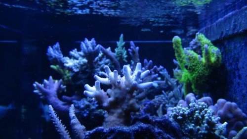 IMG_6383.JPG