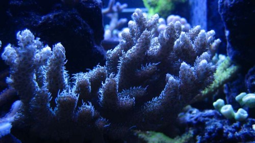 IMG_6384.JPG