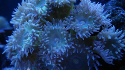 IMG_6380.JPG