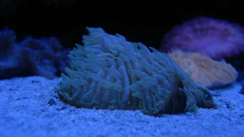 IMG_6366.JPG